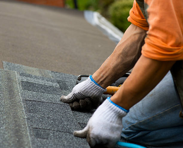 Best Best Roofing Contractors  in Utica, NY