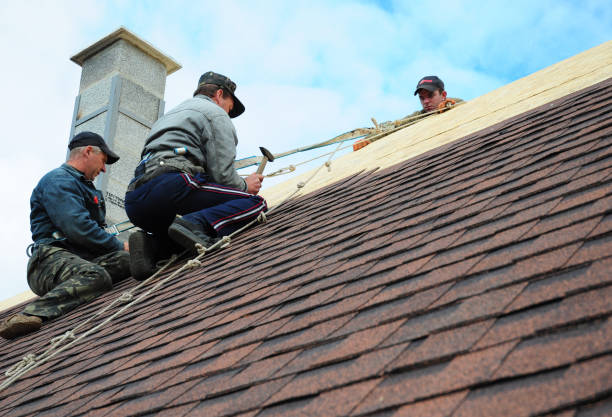 Best Flat Roof Repair Services  in Utica, NY